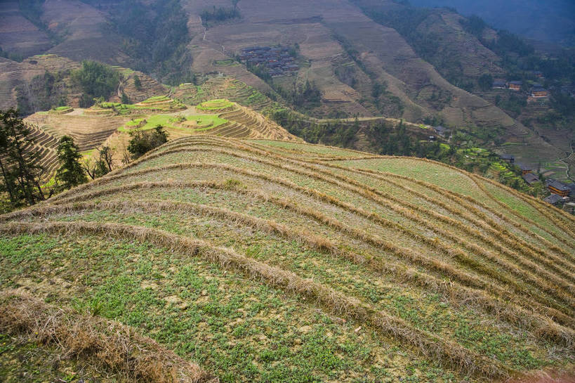 农田,横图,室外,白天,旅游,度假,农业,梯田,名胜古迹,田园,标志建筑,地标,建筑,中国,亚洲,遗迹,民俗,景观,文化遗产,古迹,文物,娱乐,建设,古建筑,特色,自然,享受,休闲,旅游胜地,景色,放松,人文景观,广西,耕作,中国文化,古文明,东亚,龙胜,龙脊梯田,中华人民共和国,古代文明,旅行,传统文化,bj174