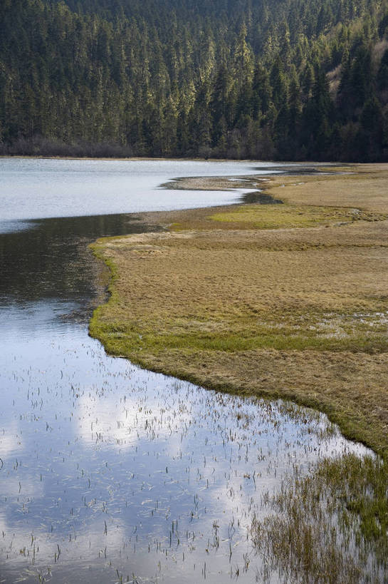 公园,竖图,室外,白天,旅游,度假,湖,名胜古迹,树林,标志建筑,地标,建筑,香格里拉,中国,亚洲,遗迹,民俗,湖畔,景观,古迹,文物,娱乐,建设,古建筑,迪庆,云南,特色,水库,树,自然,湖水,享受,休闲,旅游胜地,景色,放松,竖,人文景观,国家公园,矗立,中国文化,自然风光,耸立,古文明,东亚,中甸,迪庆藏族自治州,云南省,中华人民共和国,西南地区,挺立,滇,迪庆州,香格里拉县,普达措国家公园,旅行,传统文化,bj174