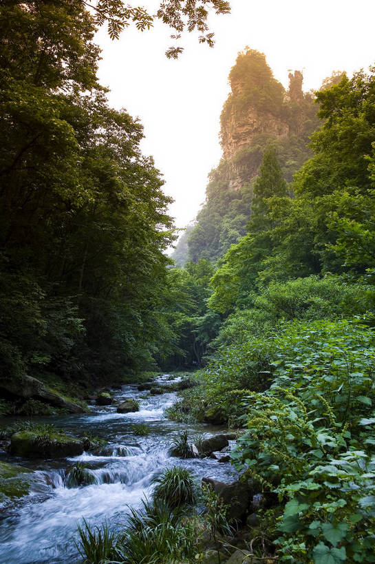 竖图,彩色,室外,白天,旅游,度假,名胜古迹,山,标志建筑,地标,建筑,张家界,中国,亚洲,遗迹,壮观,图片,景观,山峰,古迹,文物,娱乐,建设,古建筑,风景区,树木,自然,享受,休闲,旅游胜地,景色,放松,竖,摄影,矗立,美妙,自然风光,耸立,古文明,东亚,湖南,中华人民共和国,挺立,旅行,金鞭溪,bj174