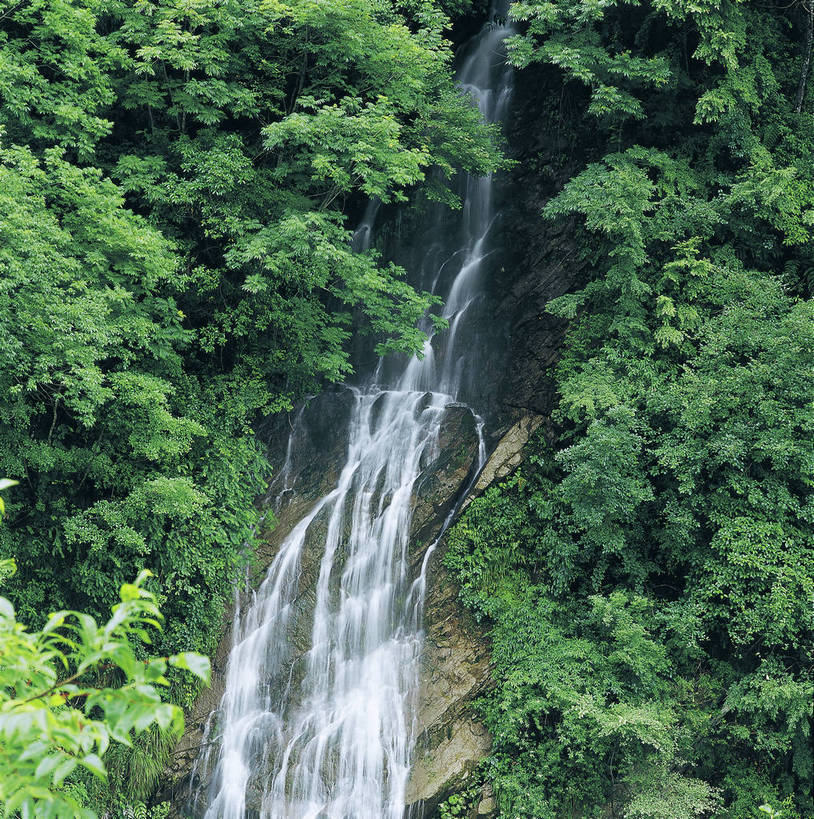 竖图,彩色,室外,特写,白天,旅游,度假,名胜古迹,瀑布,森林,山,树林,溪流,标志建筑,地标,建筑,中国,亚洲,局部,遗迹,景观,美丽,古迹,文物,娱乐,建设,古建筑,自然,夏天,享受,休闲,旅游胜地,放松,竖,摄影,人文景观,矗立,美好,近景,耸立,古文明,东亚,四川,中华人民共和国,挺立,幽静,旅行,bj174