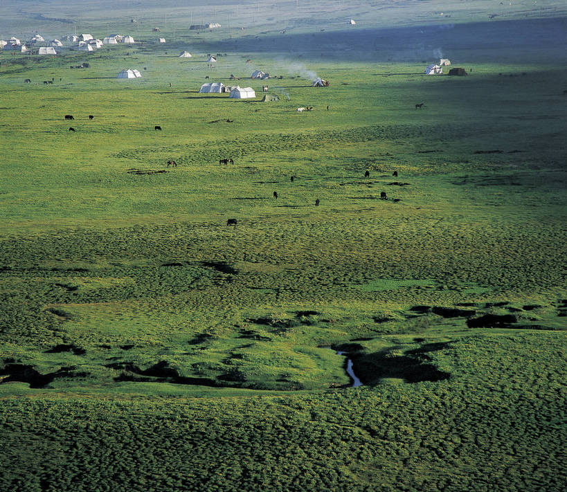 横图,彩色,室外,白天,旅游,度假,草地,草原,草坪,河流,名胜古迹,植物,标志建筑,地标,建筑,马,中国,亚洲,放牧,遗迹,壮观,帐篷,景观,美丽,古迹,文物,娱乐,建设,炊烟,古建筑,草,绿色,自然,享受,休闲,远景,旅游胜地,放松,摄影,人文景观,四川省,湿地,美好,古文明,东亚,甘肃,甘肃省,四川,游牧,中华人民共和国,西南地区,川,西北地区,甘,幽静,旅行,诺尔盖草原,草甸,bj174