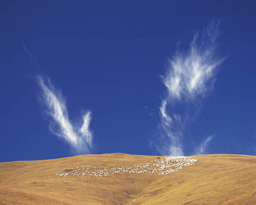 横图,彩色,室外,白天,旅游,度假,草地,草原,名胜古迹,标志建筑,地标,建筑,马,羊,中国,亚洲,放牧,遗迹,壮观,景观,云,美丽,古迹,文物,娱乐,建设,古建筑,西藏,白云,蓝天,天空,自然,享受,休闲,远景,旅游胜地,放松,摄影,人文景观,四川省,美好,古文明,东亚,四川,游牧,青藏高原,阿坝,中华人民共和国,西南地区,阿坝藏族羌族自治州,阿坝州,川,幽静,旅行,红原,红原县,红原草原,红原大草原,bj174