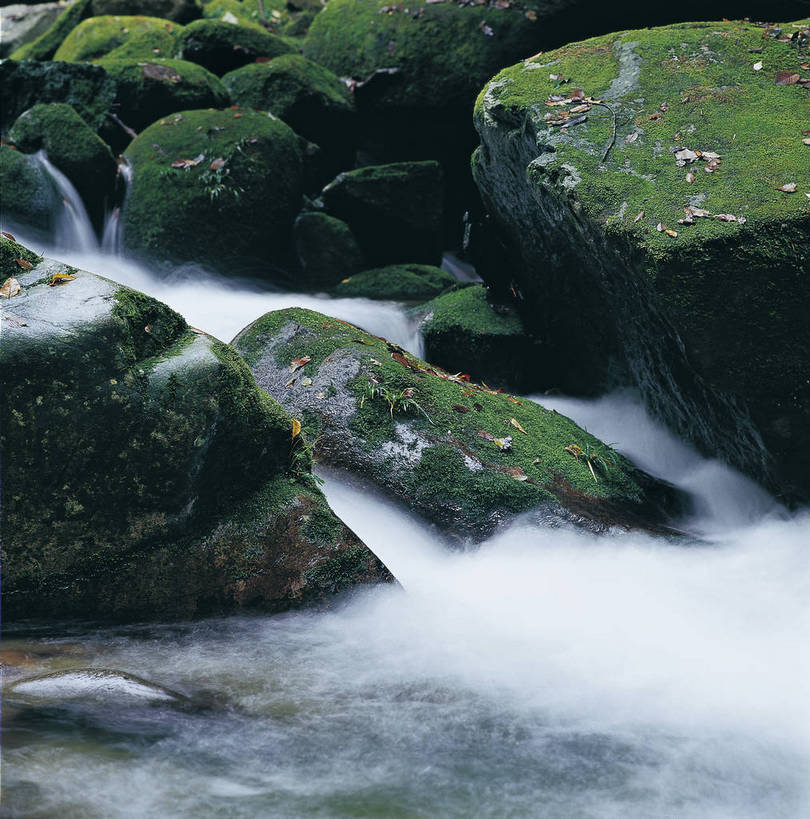 竖图,彩色,室外,特写,白天,旅游,度假,名胜古迹,瀑布,溪流,标志建筑,地标,建筑,中国,亚洲,遗迹,景观,青苔,红叶,落叶,美丽,古迹,文物,娱乐,建设,古建筑,小溪,自然,享受,休闲,旅游胜地,放松,竖,摄影,矗立,美好,近景,耸立,古文明,东亚,中华人民共和国,挺立,幽静,山石,旅行,bj174