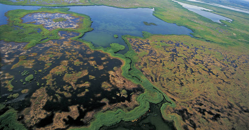 横图,航拍,彩色,室外,白天,旅游,度假,湖,湖泊,名胜古迹,森林,树林,标志建筑,地标,建筑,喀纳斯,中国,亚洲,清澈,遗迹,壮观,岛,景观,美丽,古迹,文物,娱乐,建设,古建筑,蓝天,自然,享受,休闲,远景,旅游胜地,放松,摄影,人文景观,雄伟,鸟瞰,美好,湖心岛,古文明,东亚,地貌,喀纳斯湖,新疆,阿勒泰地区,布尔津县,伊犁,中华人民共和国,新疆维吾尔自治区,西北地区,伊犁哈萨克自治州,幽静,旅行,布尔津,地质,新,bj174