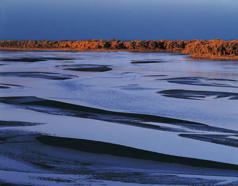 横图,彩色,室外,白天,旅游,森林,树林,中国,亚洲,景观,自然,远景,摄影,人文景观,湿地,江岸,滩涂,东亚,地貌,新疆,中华人民共和国,黑河,江,旅行,地质,bj174