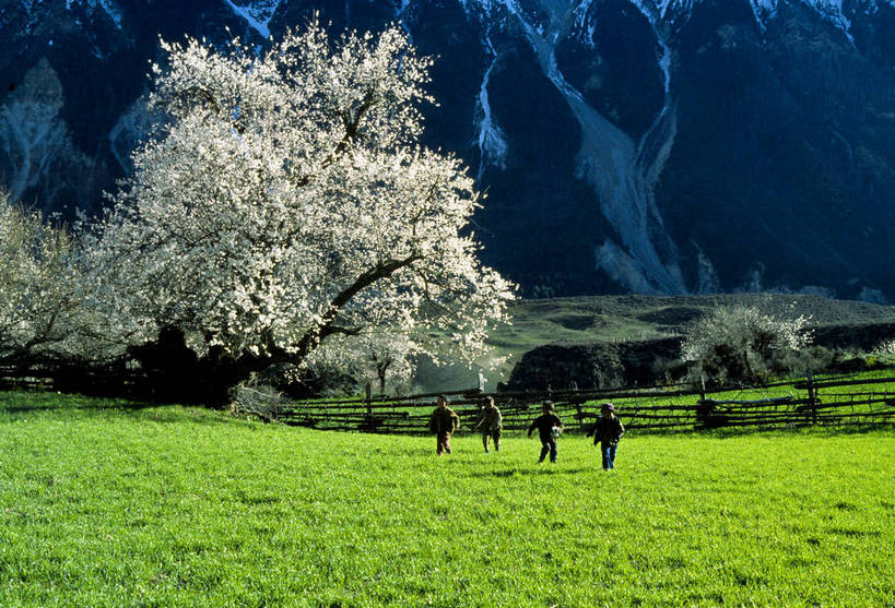 横图,草地,草原,桃花,中国,亚洲,山脚,西藏,摄影,东亚,中华人民共和国,孩子,玩耍,彩图,bj174