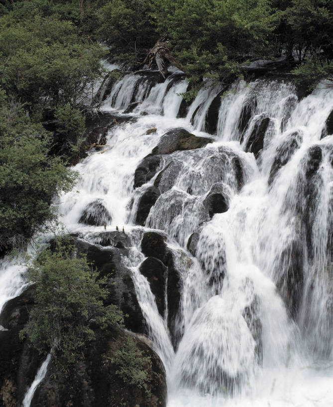 竖图,河流,瀑布,树林,九寨沟,中国,亚洲,清澈,绿色的,绿色,竖,摄影,矗立,耸立,东亚,四川,中华人民共和国,挺立,彩图,bj174