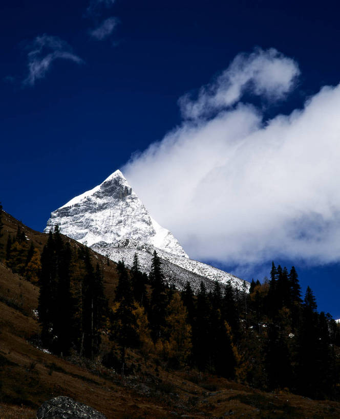 竖图,山脉,树林,雪山,中国,亚洲,西藏,白云,蓝天,竖,摄影,晴朗,矗立,耸立,东亚,中华人民共和国,挺立,彩图,bj174