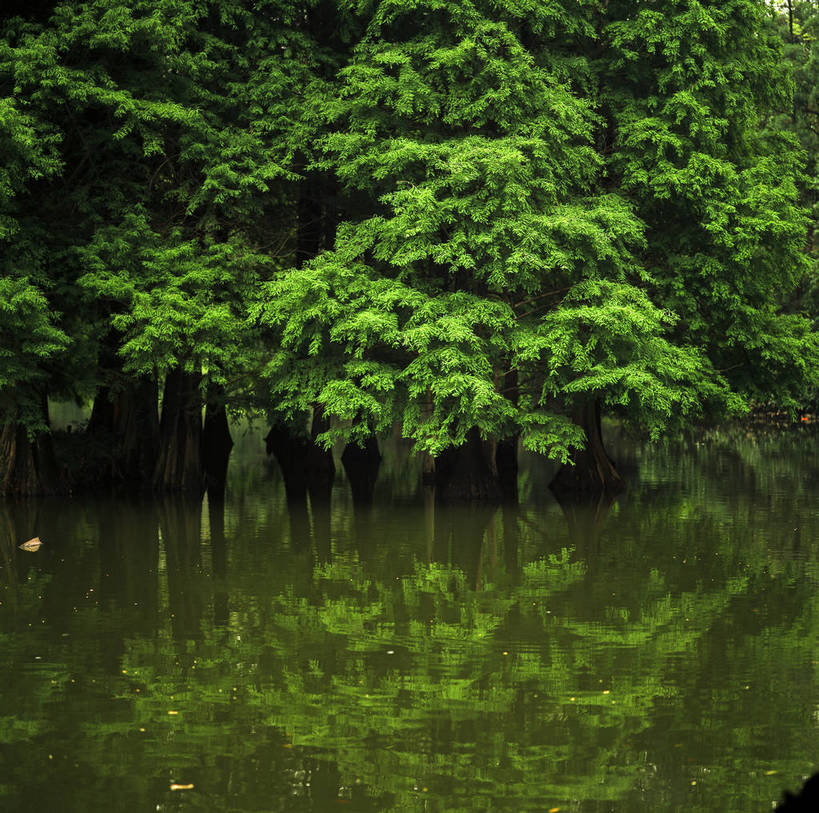 横图,湖泊,河流,美景,中国,亚洲,景观,树木,绿色,自然,景色,竖,摄影,矗立,自然风光,耸立,东亚,中华人民共和国,挺立,彩图,bj174