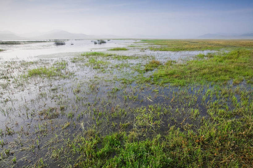 公园,横图,彩色,室外,白天,草地,草原,草坪,植物,坝上,中国,亚洲,景观,辽阔,草,绿色,风景,天空,自然,广阔,蒙,摄影,河塘,湿地,空旷,自然风光,东亚,内蒙古,中华人民共和国,华北地区,内蒙古自治区,赤峰,赤峰市,克旗,克什克腾旗,乌兰布通,乌兰布统,乌兰布统乡,克什克腾大草原,克什克腾世界地质公园,内蒙古克什克腾世界地质公园,乌兰布统草原,草甸,红山军马场,bj174