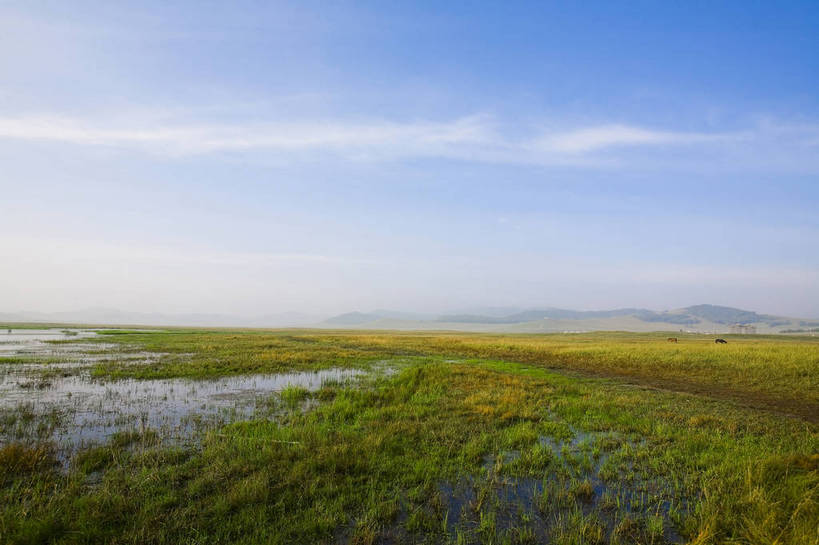 公园,横图,彩色,室外,白天,草地,草原,草坪,植物,马,坝上,中国,亚洲,景观,辽阔,草,绿色,白云,风景,蓝天,天空,自然,广阔,蒙,摄影,河塘,湿地,空旷,远山,自然风光,东亚,游牧,内蒙古,中华人民共和国,华北地区,内蒙古自治区,赤峰,赤峰市,牧马,克旗,克什克腾旗,乌兰布通,乌兰布统,乌兰布统乡,克什克腾大草原,克什克腾世界地质公园,内蒙古克什克腾世界地质公园,乌兰布统草原,草甸,红山军马场,bj174