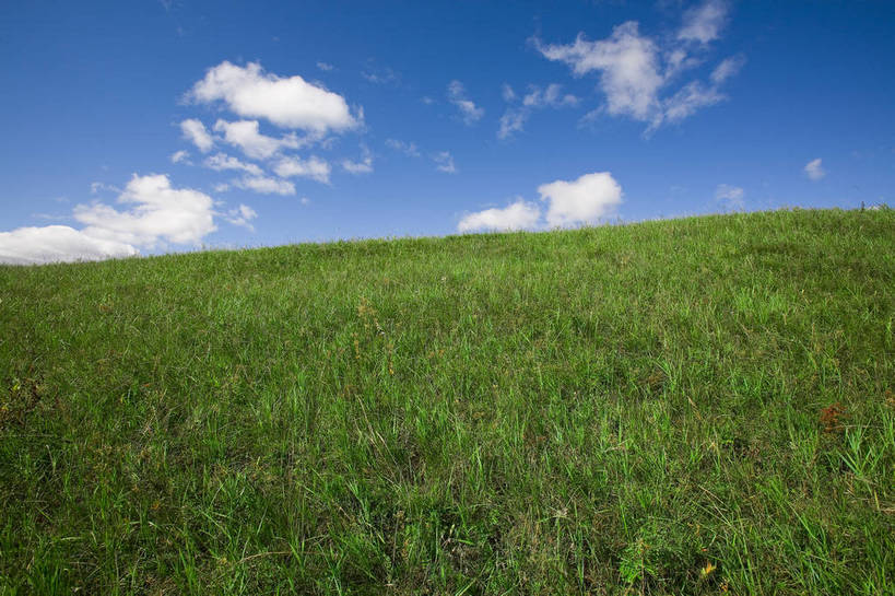 公园,横图,彩色,室外,白天,草地,草原,坝上,中国,亚洲,景观,草,树,绿色,风景,蓝天,天空,自然,一棵树,蒙,摄影,自然风光,东亚,内蒙古,中华人民共和国,华北地区,内蒙古自治区,赤峰,赤峰市,克旗,克什克腾旗,乌兰布通,乌兰布统,乌兰布统乡,克什克腾大草原,克什克腾世界地质公园,内蒙古克什克腾世界地质公园,乌兰布统草原,红山军马场,bj174