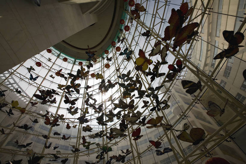 横图,彩色,室内,特写,白天,仰视,旅游,度假,名胜古迹,标志建筑,地标,建筑,蝴蝶,上海,中国,亚洲,局部,遗迹,标本,景观,古迹,文物,娱乐,建设,古建筑,浦东,享受,休闲,旅游胜地,放松,摄影,上海科技馆,部分,申,浦东新区,世纪大道,古文明,东亚,上海市,中华人民共和国,沪,华东地区,旅行,上海浦东新区青少年活动中心,bj174