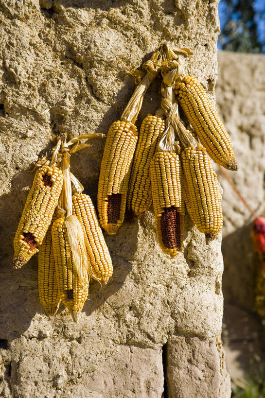 无人,竖图,彩色,室外,特写,白天,旅游,度假,名胜古迹,标志建筑,地标,建筑,中国,亚洲,遗迹,古迹,文物,娱乐,建设,古建筑,享受,休闲,旅游胜地,放松,竖,摄影,人文景观,古代建筑,中国文化,古文明,东亚,宁夏,银川,镇北堡影视城,影视城,首府,中华人民共和国,西北地区,银川市,宁夏回族自治区,宁,旅行,镇北堡,镇北堡西部影视城,bj174