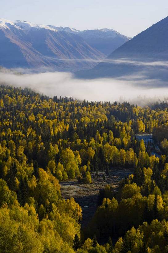 无人,竖图,彩色,室外,白天,旅游,度假,草原,名胜古迹,树林,标志建筑,地标,建筑,中国,亚洲,遗迹,古迹,文物,娱乐,建设,古建筑,树,自然,享受,休闲,旅游胜地,放松,竖,摄影,自然风光,杉树,古文明,东亚,新疆,中华人民共和国,阿勒泰,旅行,禾木,bj174