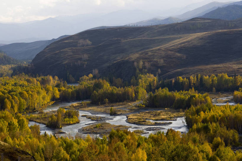 无人,横图,彩色,室外,白天,旅游,度假,名胜古迹,树林,标志建筑,地标,建筑,中国,亚洲,遗迹,水潭,古迹,文物,娱乐,建设,古建筑,树木,自然,享受,休闲,旅游胜地,放松,摄影,自然风光,杉树,古文明,东亚,新疆,中华人民共和国,阿勒泰,旅行,白哈巴,bj174