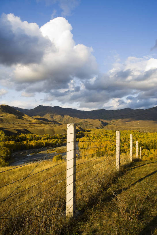 无人,竖图,彩色,室外,白天,旅游,度假,名胜古迹,树林,标志建筑,地标,建筑,中国,亚洲,遗迹,围栏,古迹,文物,娱乐,建设,古建筑,树木,白云,天空,自然,享受,休闲,旅游胜地,放松,竖,摄影,远山,自然风光,杉树,古文明,东亚,新疆,中华人民共和国,阿勒泰,旅行,白哈巴,bj174