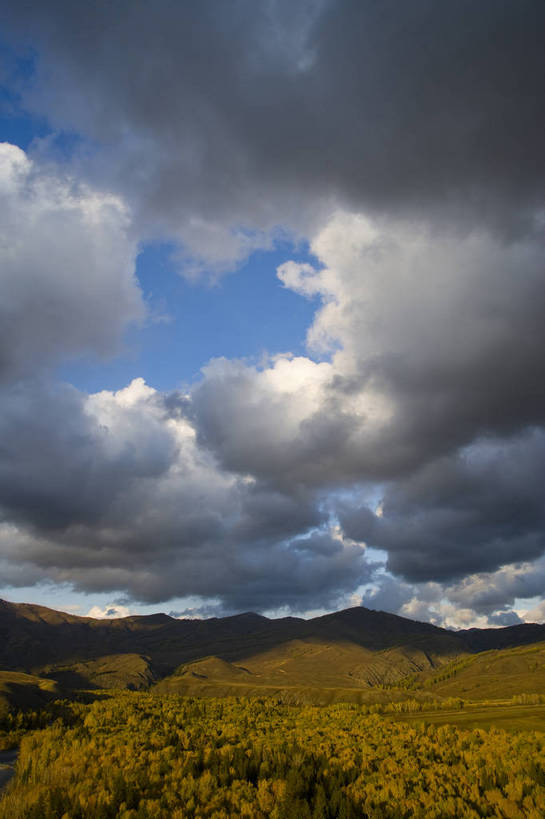 无人,竖图,彩色,室外,白天,旅游,度假,名胜古迹,树林,标志建筑,地标,建筑,中国,亚洲,遗迹,围栏,古迹,文物,娱乐,建设,古建筑,树木,白云,天空,自然,享受,休闲,旅游胜地,放松,竖,摄影,远山,自然风光,杉树,古文明,东亚,新疆,中华人民共和国,阿勒泰,旅行,白哈巴,bj174