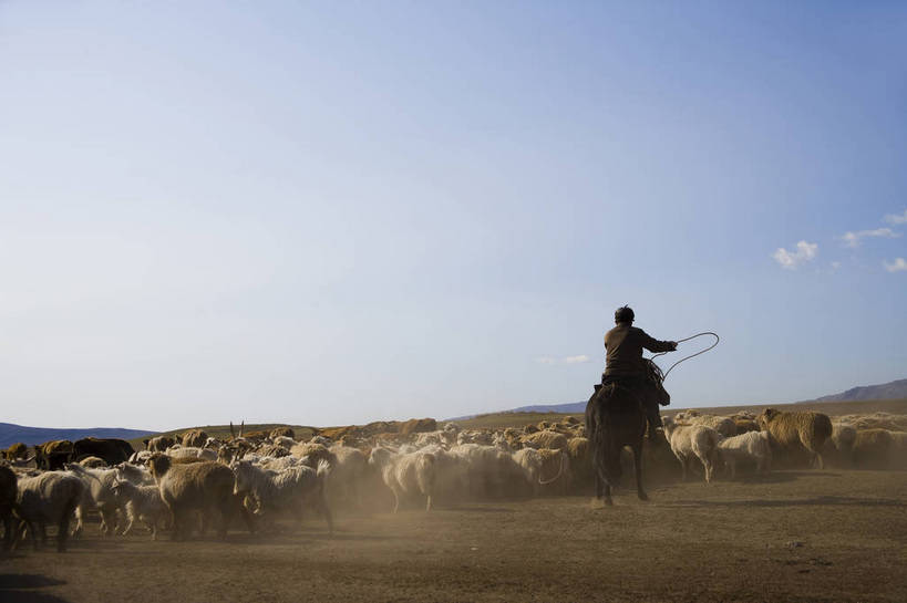 横图,彩色,室外,白天,草原,美景,田园,牛,羊,中国,亚洲,放牧,民俗,景观,牛群,羊群,自然,景色,摄影,自然风光,东亚,游牧,新疆,中华人民共和国,阿勒泰,bj174