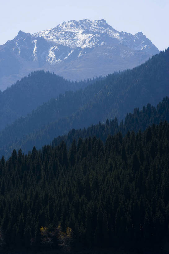 无人,竖图,彩色,室外,白天,旅游,度假,名胜古迹,森林,山,树林,标志建筑,地标,建筑,中国,亚洲,遗迹,古迹,文物,娱乐,建设,古建筑,风景,享受,休闲,旅游胜地,放松,竖,摄影,自然风光,古文明,东亚,天池,天山,乌鲁木齐,新疆,中华人民共和国,旅行,bj174