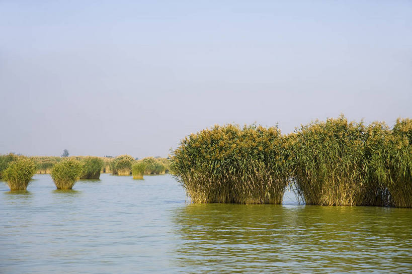 无人,横图,彩色,室外,白天,旅游,度假,湖泊,名胜古迹,水,植物,标志建筑,地标,建筑,中国,亚洲,遗迹,古迹,文物,娱乐,建设,古建筑,自然,享受,休闲,旅游胜地,放松,摄影,古文明,东亚,宁夏,银川,中华人民共和国,西北地区,宁夏回族自治区,宁,石嘴山,石嘴山市,自然景观,旅行,沙湖,沙湖生态旅游区,平罗,平罗县,bj174