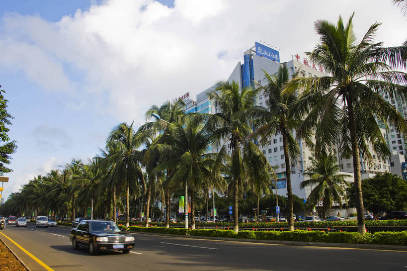 横图,彩色,室外,白天,旅游,树林,植物,城市风光,大厦,道路,建筑,汽车,椰树,叶子,中国,亚洲,景观,绿叶,交通,现代建筑,树,树木,海南,绿色,天空,自然,嫩叶,旅游胜地,商务楼,摄影,生长,成长,东亚,中华人民共和国,海口,叶,叶片,马路,棕榈,椰子树,旅行,bj174