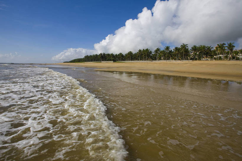 无人,横图,彩色,室外,白天,旅游,海浪,海洋,沙滩,树林,植物,椰树,叶子,中国,亚洲,绿叶,树,树木,海南,绿色,天空,自然,休闲,嫩叶,旅游胜地,摄影,海南省,生长,成长,海滨,东亚,中华人民共和国,华南地区,琼,叶,叶片,海,海滩,棕榈,椰子树,旅行,博鳌,博鳌镇,琼东,琼海,琼海市,博鳌玉带湾大酒店,bj174