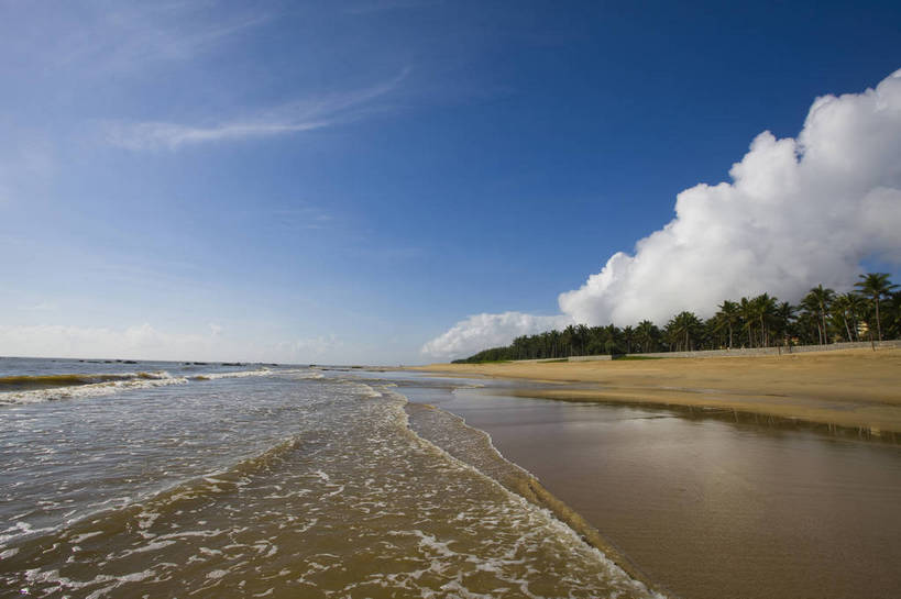 无人,横图,彩色,室外,白天,旅游,海浪,海洋,沙滩,树林,植物,椰树,叶子,中国,亚洲,绿叶,树,树木,海南,绿色,天空,自然,休闲,嫩叶,旅游胜地,摄影,海南省,生长,成长,海滨,东亚,中华人民共和国,华南地区,琼,叶,叶片,海,海滩,棕榈,椰子树,旅行,博鳌,博鳌镇,琼东,琼海,琼海市,博鳌玉带湾大酒店,bj174