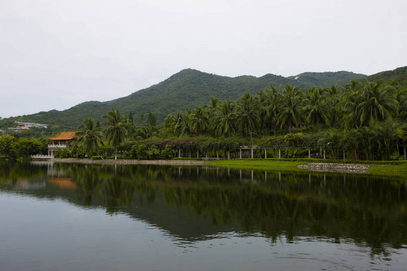 无人,横图,彩色,室外,白天,旅游,湖,树林,植物,椰树,叶子,三亚,中国,亚洲,景观,绿叶,树,树木,海南,绿色,天空,自然,休闲,嫩叶,旅游胜地,摄影,生长,成长,度假村,东亚,中华人民共和国,叶,叶片,棕榈,椰子树,旅行,南山文化旅游区,bj174