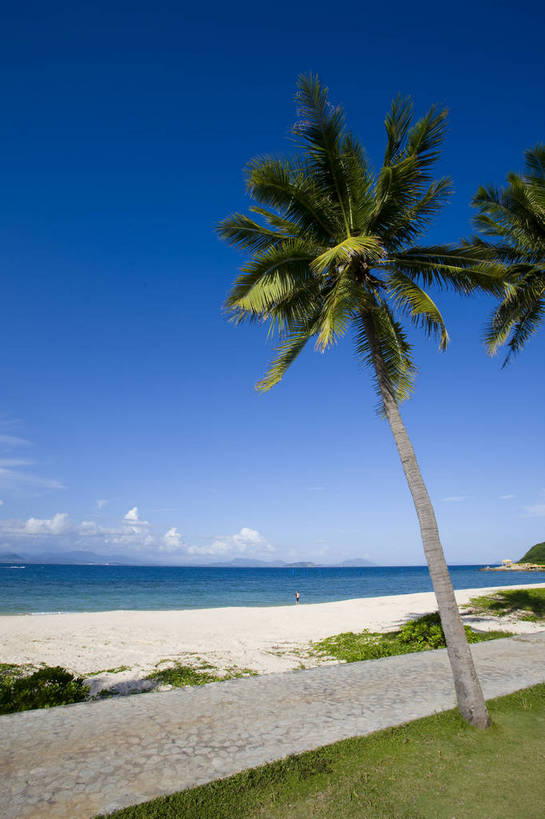 竖图,彩色,室外,白天,旅游,椰树,三亚,中国,亚洲,海南,天空,自然,休闲,旅游胜地,竖,摄影,风光,海滨,东亚,中华人民共和国,海滩,旅行,蜈支洲岛,bj174