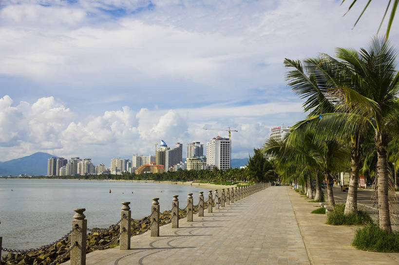 公园,横图,彩色,室外,白天,旅游,沙滩,树林,植物,城市风光,建筑,椰树,叶子,三亚,中国,亚洲,建筑群,绿叶,现代建筑,树,树木,海南,绿色,天空,自然,休闲,嫩叶,旅游胜地,摄影,生长,成长,海滨,东亚,三亚湾,中华人民共和国,叶,叶片,海滩,棕榈,椰子树,旅行,bj174