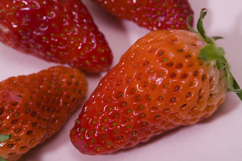 横图,彩色,特写,白天,草莓,静物,水果,中国,亚洲,图片,食品,排列,红色,多个,摄影,东亚,影棚拍摄,bj174