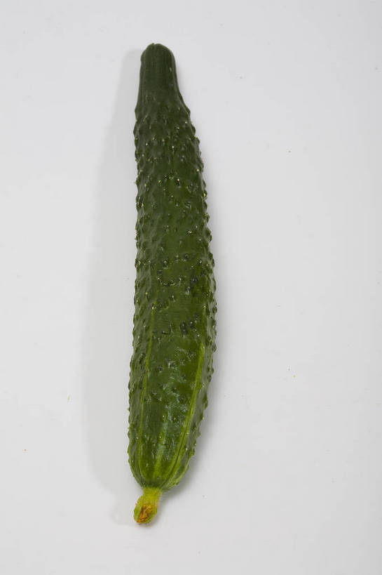 竖图,彩色,特写,白天,黄瓜,蔬菜,静物,中国,亚洲,图片,食品,食物,一个,竖,摄影,东亚,影棚拍摄,bj174