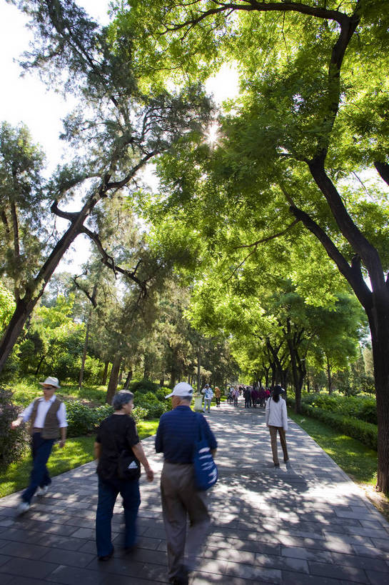 公园,竖图,彩色,旅游,度假,名胜古迹,树林,标志建筑,城市,道路,地标,建筑,北京,中国,亚洲,游人,遗迹,图片,古迹,文物,娱乐,建设,古建筑,景山公园,树木,晨练,享受,休闲,旅游胜地,放松,摄影,文明,古文明,东亚,中华人民共和国,旅行,bj174