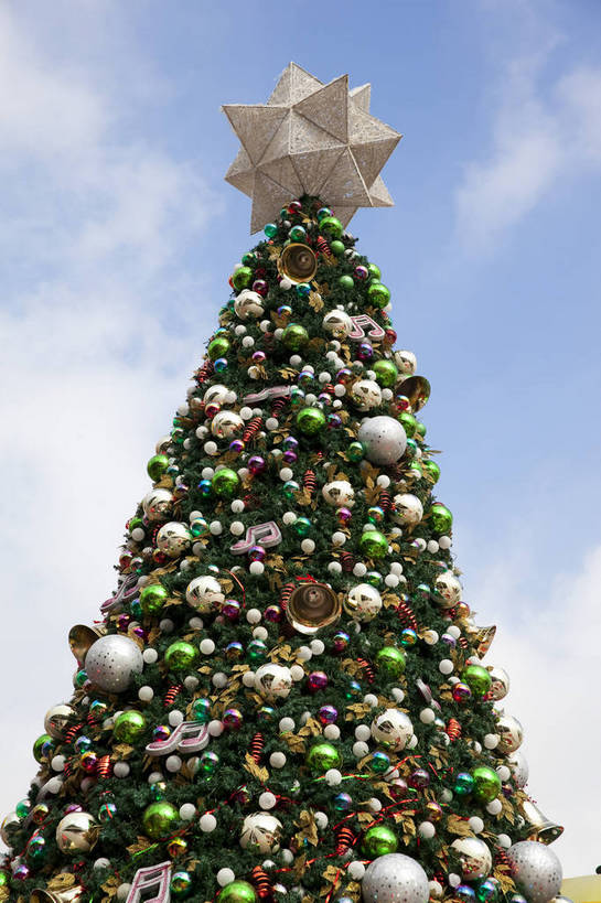 无人,竖图,彩色,室外,白天,旅游,度假,名胜古迹,标志建筑,地标,建筑,香港,中国,节日,遗迹,装饰,图片,圣诞树,古迹,文物,娱乐,建设,现代,古建筑,海洋公园,享受,休闲,喜庆,旅游胜地,放松,生活方式,都市风光,文明,中国文化,古文明,繁荣,旅行,愉快,bj174