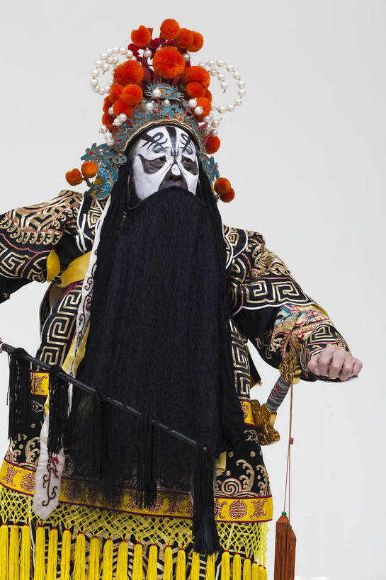 中年人,一个人,演员,竖图,彩色,白色背景,正面,化妆,北京,中国,亚洲,仅一个人,表演,艺术,造型,鲜艳,头饰,图片,注视,文化,脸谱,观察,看,站着,表情,竖,姿势,摄影,服饰,观看,动作,察看,关注,中国文化,戏剧,民族服饰,演出服,京剧,东亚,戏曲,国粹,军事家,男人,中国人,半身,影棚拍摄,化装,西楚霸王,项籍,项羽,中国戏曲,传统文化,舞台妆,角色,花脸,净,bj174