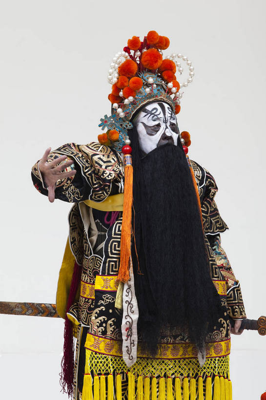 一个人,演员,竖图,彩色,白色背景,正面,化妆,北京,中国,亚洲,仅一个人,表演,艺术,造型,鲜艳,头饰,图片,注视,文化,脸谱,观察,看,站着,表情,竖,姿势,摄影,服饰,观看,动作,察看,关注,中国文化,戏剧,民族服饰,演出服,京剧,东亚,国粹,青衣,女人,中国人,年轻人,半身,影棚拍摄,化装,中国戏曲,传统文化,虞姬,舞台妆,bj174