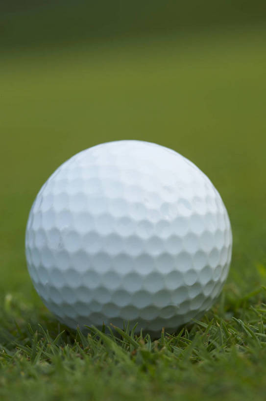 无人,竖图,室外,比赛,运动,竞争,草坪,静物,材质,球类运动,生活,质地,娱乐,球,绿色,白色,休闲,健康,积极,激情,爱好,激烈,荣誉,周末,乐观,玩耍,休假,奥运会,运动器材,bj174