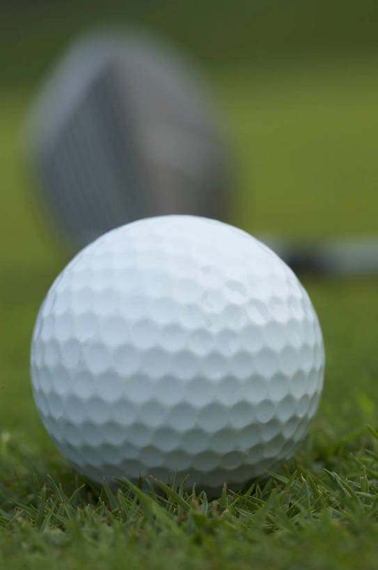 无人,竖图,室外,比赛,运动,竞争,草坪,静物,材质,球杆,银色,球类运动,层次,生活,质地,娱乐,球,绿色,白色,休闲,健康,积极,激情,爱好,激烈,荣誉,周末,乐观,玩耍,休假,奥运会,运动器材,bj174