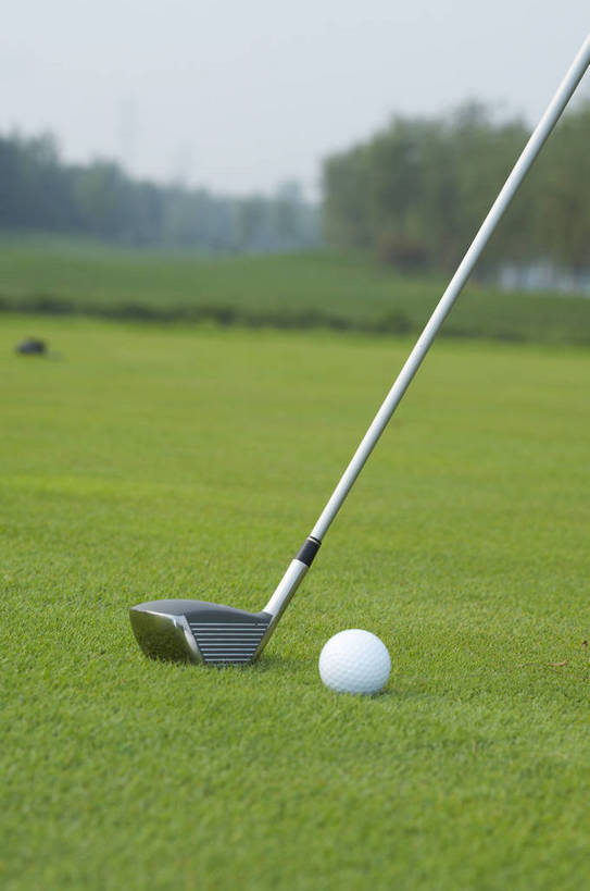 无人,竖图,室外,背景,比赛,运动,竞争,草坪,静物,材质,球杆,银色,球类运动,层次,生活,质地,娱乐,场地,球,树木,绿色,白色,天空,休闲,健康,积极,激情,爱好,激烈,荣誉,周末,乐观,玩耍,休假,奥运会,运动器材,bj174