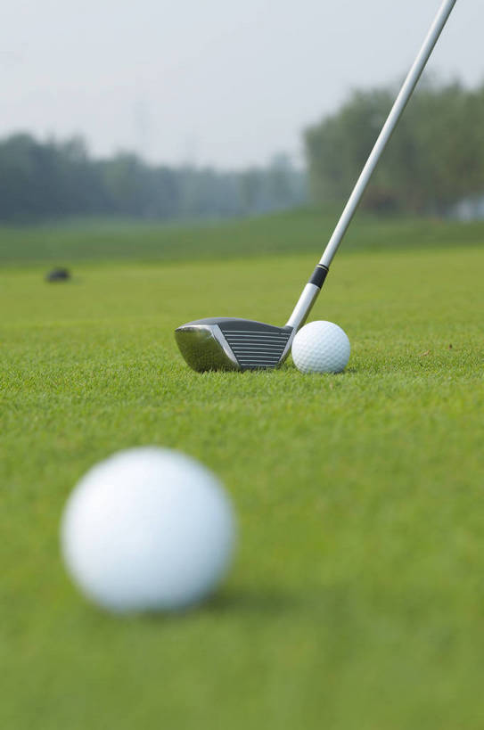 无人,竖图,室外,背景,比赛,运动,竞争,草坪,静物,材质,球杆,银色,球类运动,层次,生活,质地,娱乐,场地,球,树木,绿色,白色,天空,多个,休闲,健康,积极,激情,爱好,激烈,荣誉,周末,乐观,玩耍,休假,奥运会,运动器材,bj174