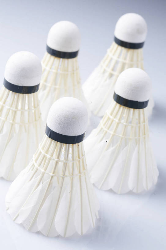 无人,竖图,彩色,棚拍,比赛,运动,竞争,羽毛球,静物,组合,材质,球类运动,生活,质地,娱乐,白色,多个,休闲,健康,积极,激情,爱好,激烈,荣誉,周末,乐观,玩耍,休假,奥运会,运动器材,bj174