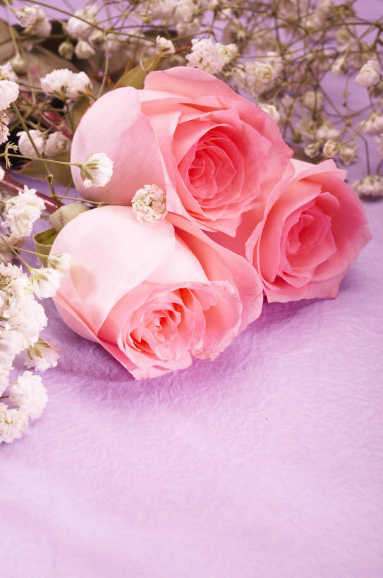 无人,竖图,特写,爱情,纯洁,水,植物,玫瑰,静物,情人节,湿,节日,芳香,香气,液体,水滴,浪漫,花,花瓣,花朵,花卉,开花,红色,自然,露珠,温馨,喜庆,香味,摄影,影棚,气味,假期,简单,象征,物体,摄影棚,关心,精美,暖色调,甜蜜,影棚拍摄,拍摄,bj174