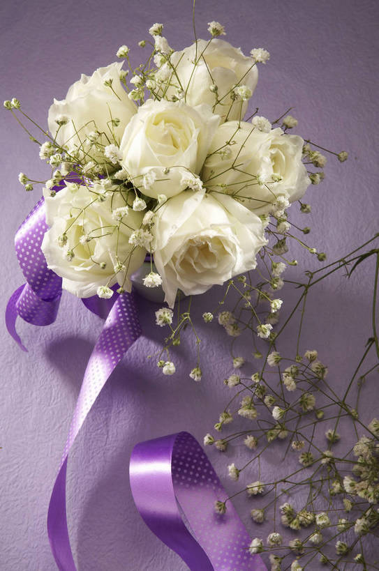 无人,竖图,特写,爱情,纯洁,水,植物,玫瑰,静物,情人节,湿,节日,芳香,香气,液体,水滴,浪漫,花,花瓣,花朵,花卉,开花,红色,自然,露珠,温馨,喜庆,香味,摄影,影棚,气味,假期,简单,象征,物体,摄影棚,关心,精美,暖色调,甜蜜,影棚拍摄,拍摄,bj174