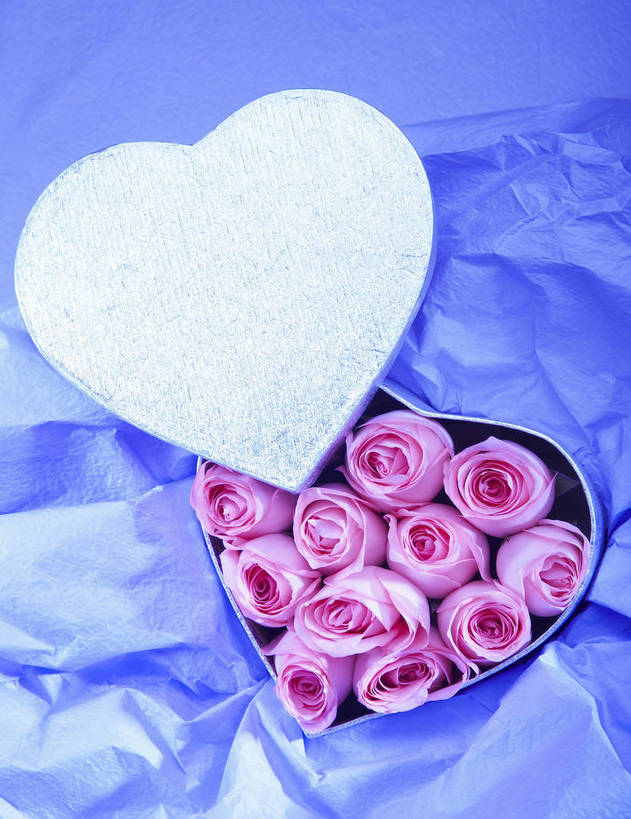 无人,竖图,特写,爱情,纯洁,水,植物,玫瑰,静物,礼盒,情人节,湿,节日,芳香,香气,液体,水滴,浪漫,花,花瓣,花朵,花卉,开花,红色,蓝色,自然,露珠,温馨,喜庆,香味,摄影,影棚,气味,假期,简单,象征,物体,摄影棚,关心,精美,暖色调,甜蜜,心型,影棚拍摄,拍摄,bj174