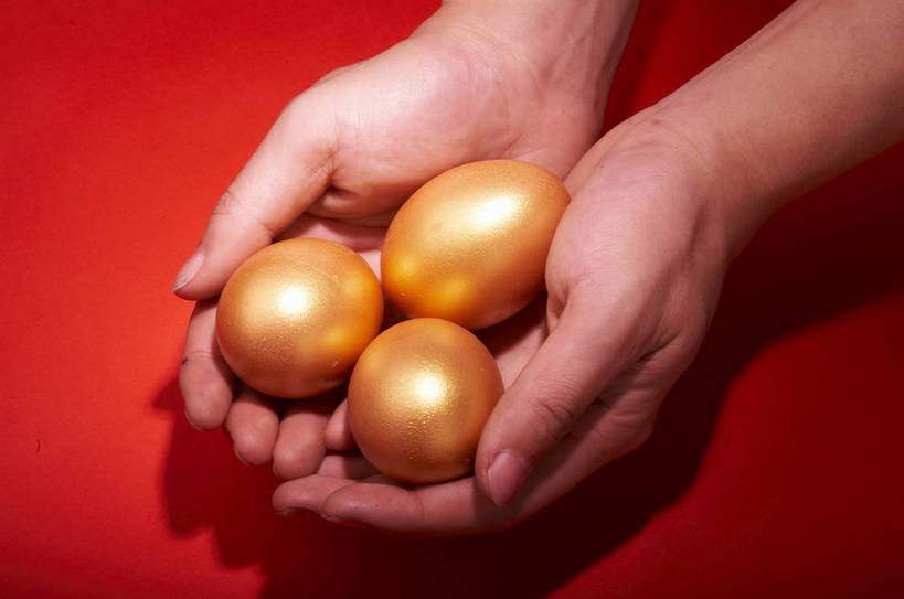 手,捧,横图,特写,商务,安全,静物,红色背景,蛋,黄金,概念,成年,手部,金色,规划,储蓄,财富,金融,理财,经济,金蛋,流通,贸易,卓越,责任,宝贵,储备,完美,手捧,商业,bj174