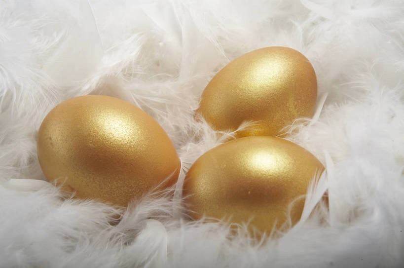 横图,特写,商务,安全,静物,羽毛,红色背景,蛋,黄金,概念,成年,手部,金色,规划,储蓄,财富,金融,理财,经济,金蛋,流通,贸易,卓越,责任,宝贵,储备,完美,手捧,商业,bj174