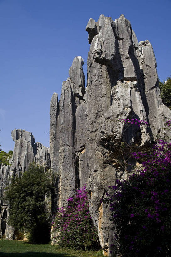 无人,竖图,彩色,室外,白天,旅游,度假,草地,草坪,石头,名胜古迹,石林,标志建筑,地标,建筑,昆明,中国,亚洲,遗迹,石子,图片,巨石,古迹,文物,娱乐,建设,古建筑,云南,树木,享受,休闲,旅游胜地,放松,摄影,文明,中国文化,自然风光,昆明市,古文明,东亚,云南省,中华人民共和国,省会,西南地区,滇,自然遗产,石林县,石林彝族自治县,石块,岩石,旅行,云南石林地质公园,传统文化,bj174