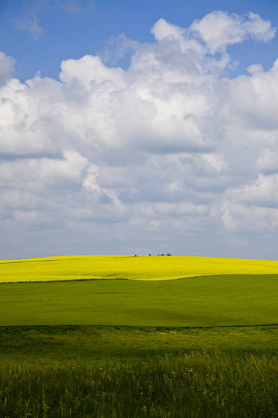 无人,竖图,彩色,室外,白天,草地,草原,田园,中国,亚洲,图片,白云,天空,自然,蒙,摄影,风光,空旷,原野,东亚,内蒙古,中华人民共和国,华北地区,内蒙古自治区,阿尔山,bj174
