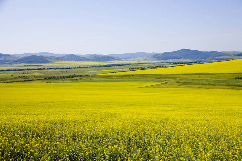 无人,木屋,横图,彩色,室外,白天,建筑,中国,亚洲,图片,民居,少数民族,旅游胜地,蒙,摄影,中国文化,东亚,内蒙古,中华人民共和国,华北地区,内蒙古自治区,房子,传统文化,额尔古纳,bj174